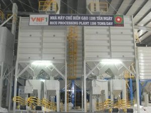 Dự án cung cấp thiết bị chiếu sáng Tổng kho chế biến, dự trữ và xuất khẩu gạo Lai Vung – Đồng Tháp